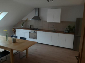 Apartmán Dvořák 194 pod Svatou horou, Příbram